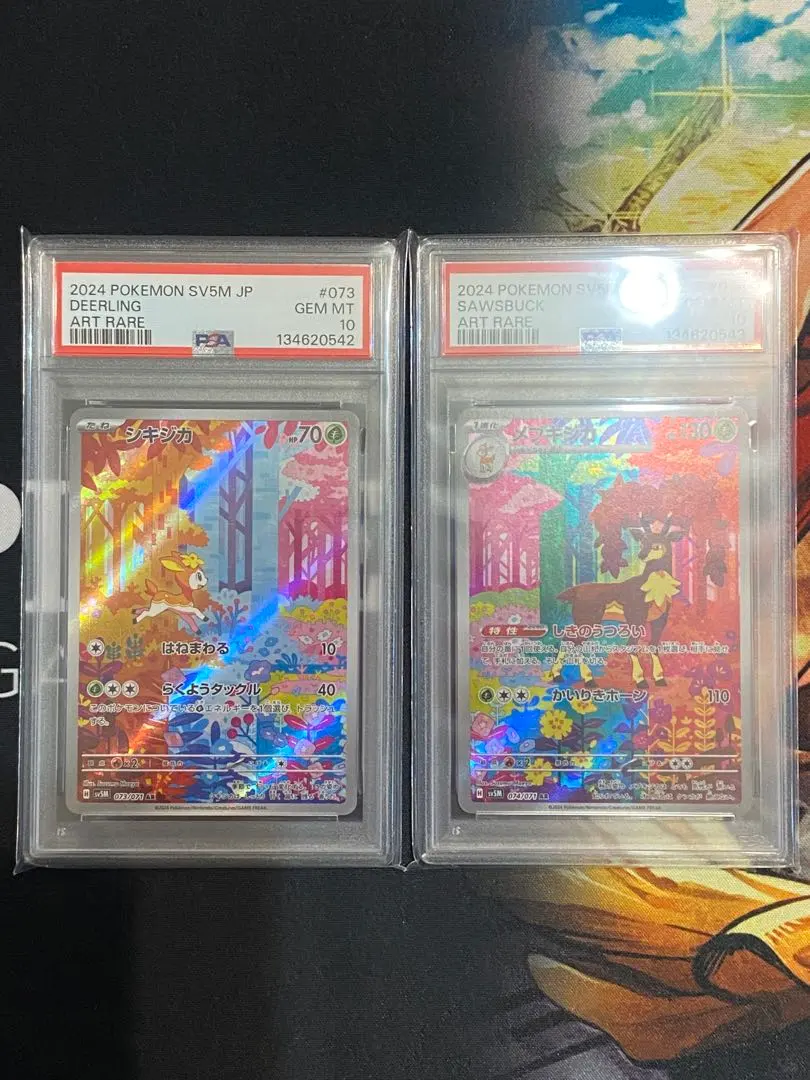 2026年最新】シキジカ ar psaの人気アイテム - メルカリ