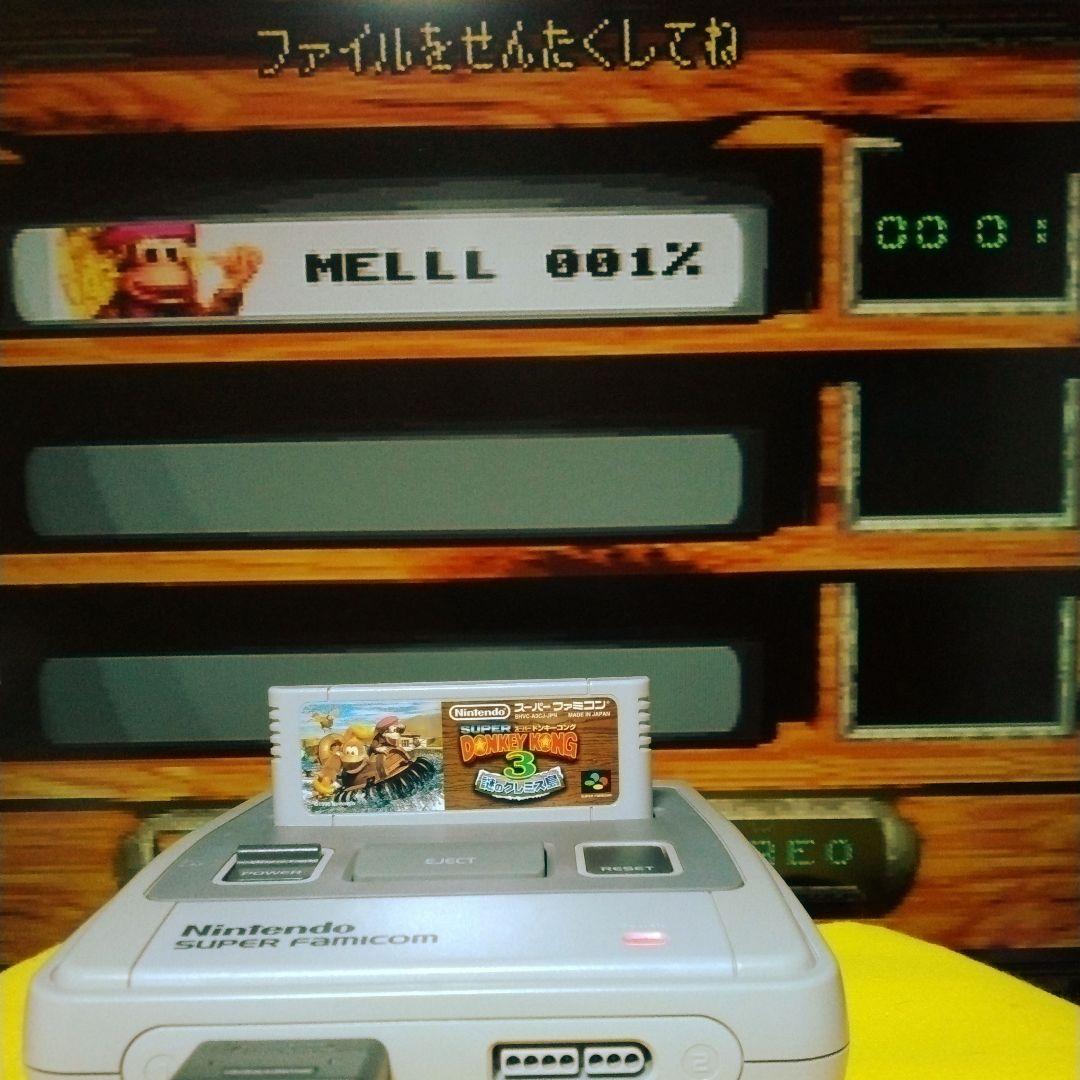 バックアップ生きてます】スーパードンキーコング3謎のクレミス島