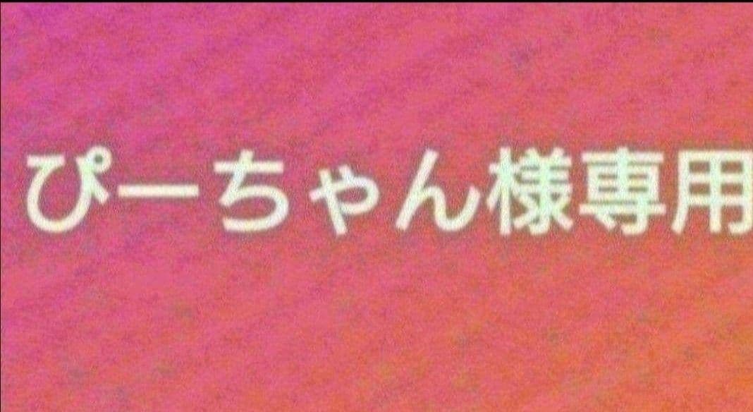 ぴーちゃん様専用 - メルカリ