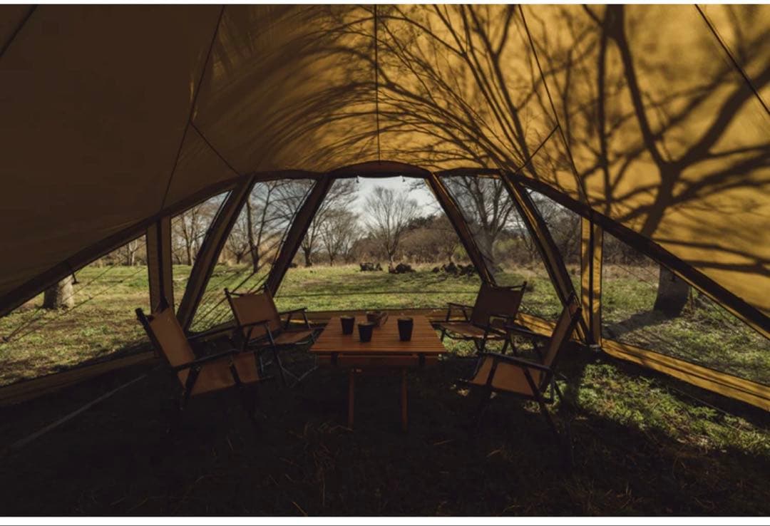 ZANE ARTS LOLO ゼインアーツ ロロ PS-033 美品 付属品完備 - メルカリ