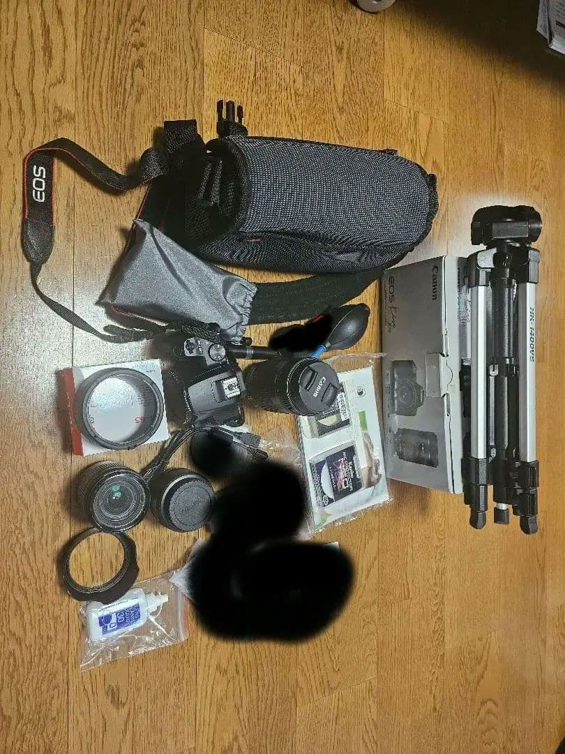 Canon EOS kiss X10 ダブルズームレンズキット　単焦点レンズ キヤノン（Canon） Canon EOS Kiss X10 ダブルズームキット カメラ