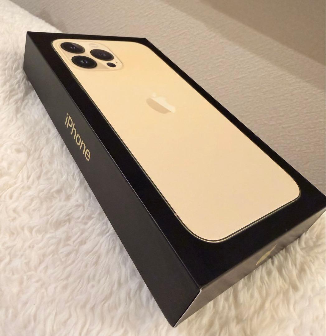 1年使用☆バッテリー93%⭐️iPhone 13Pro max⭐️純正急速充電器付き