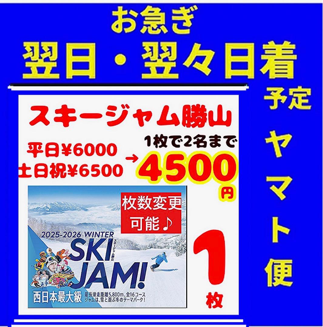 スキージャム勝山リフト割引券1枚 - メルカリ