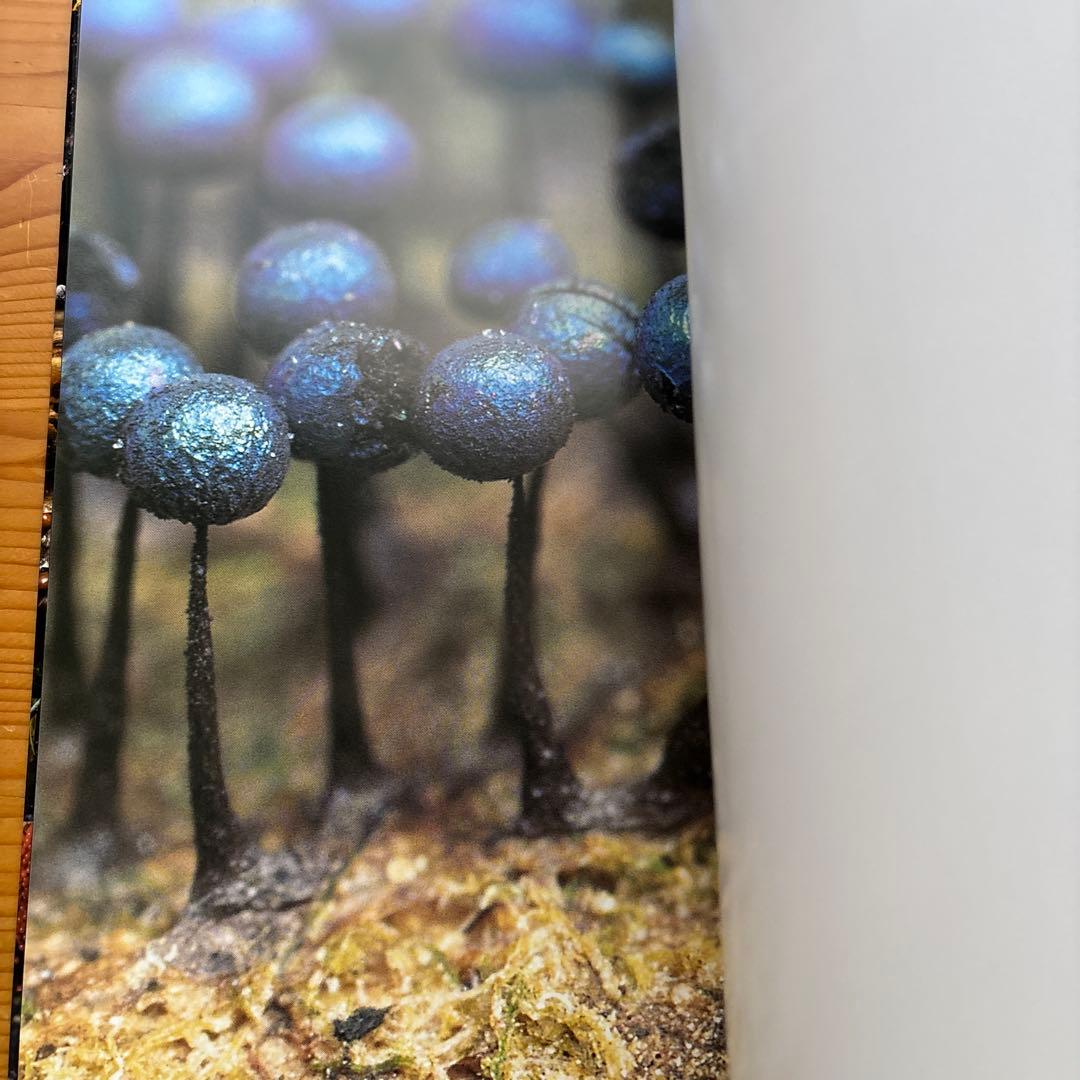 粘菌 ～驚くべき生命力の謎～ 図鑑 生物 - メルカリ