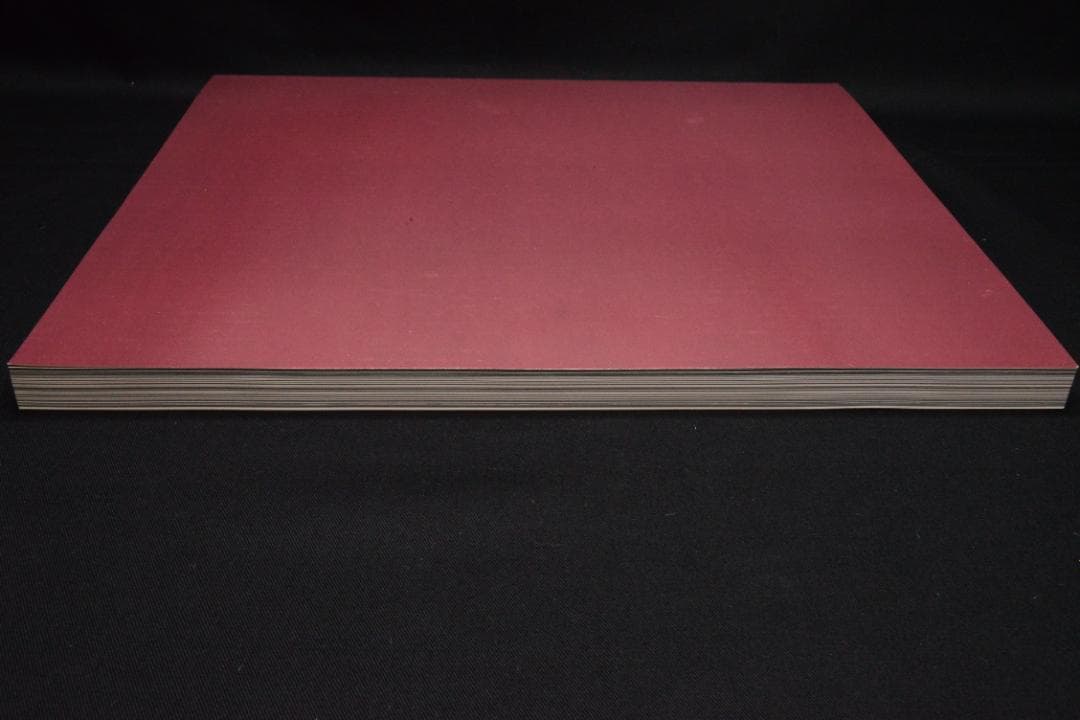 【a girl hysteric no.11】 沢渡朔　★★大幅に値下げしました