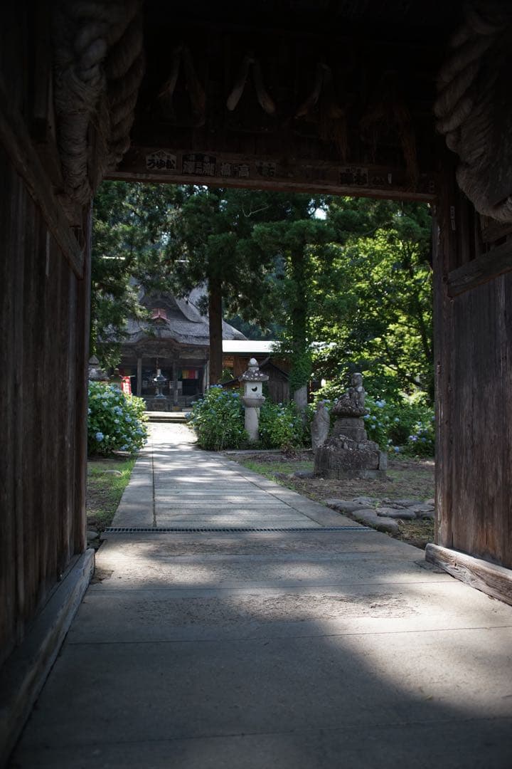 作例付き RMC TOKINA 28-85mm F4 OM 管mpr - メルカリ