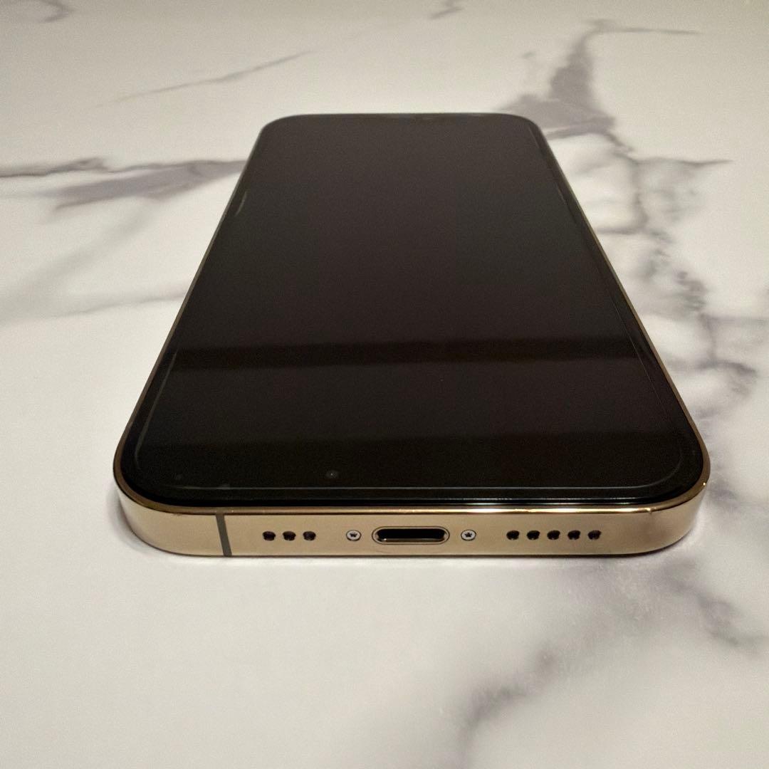 M*i様 iPhone 12 Pro (128GB) ゴールド おまけ付き iphone_12_pro_max_gold_pdp_ima