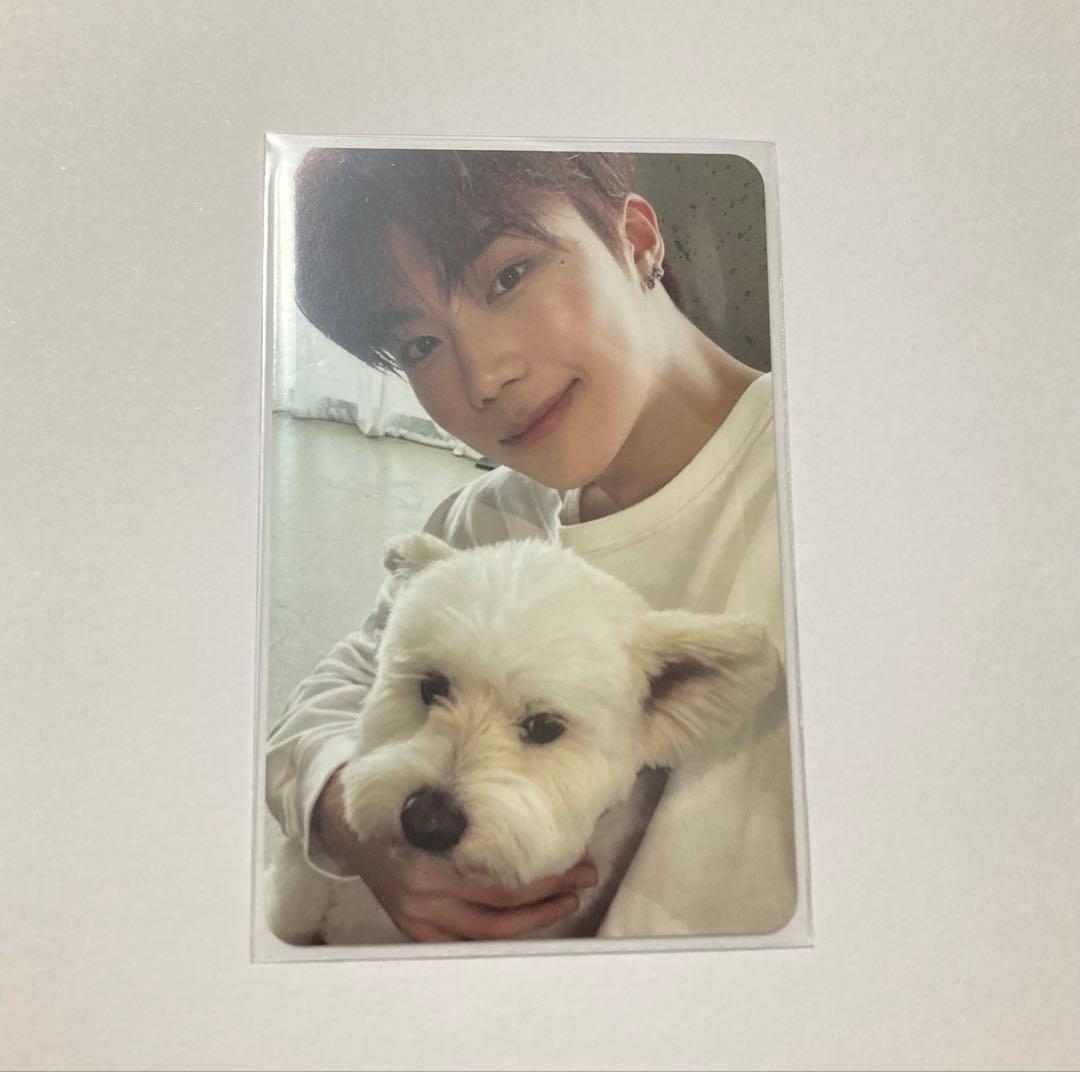 ZB1 ゴヌク DIGIPACK ALL ver. 封入 レオ 犬 トレカ - メルカリ