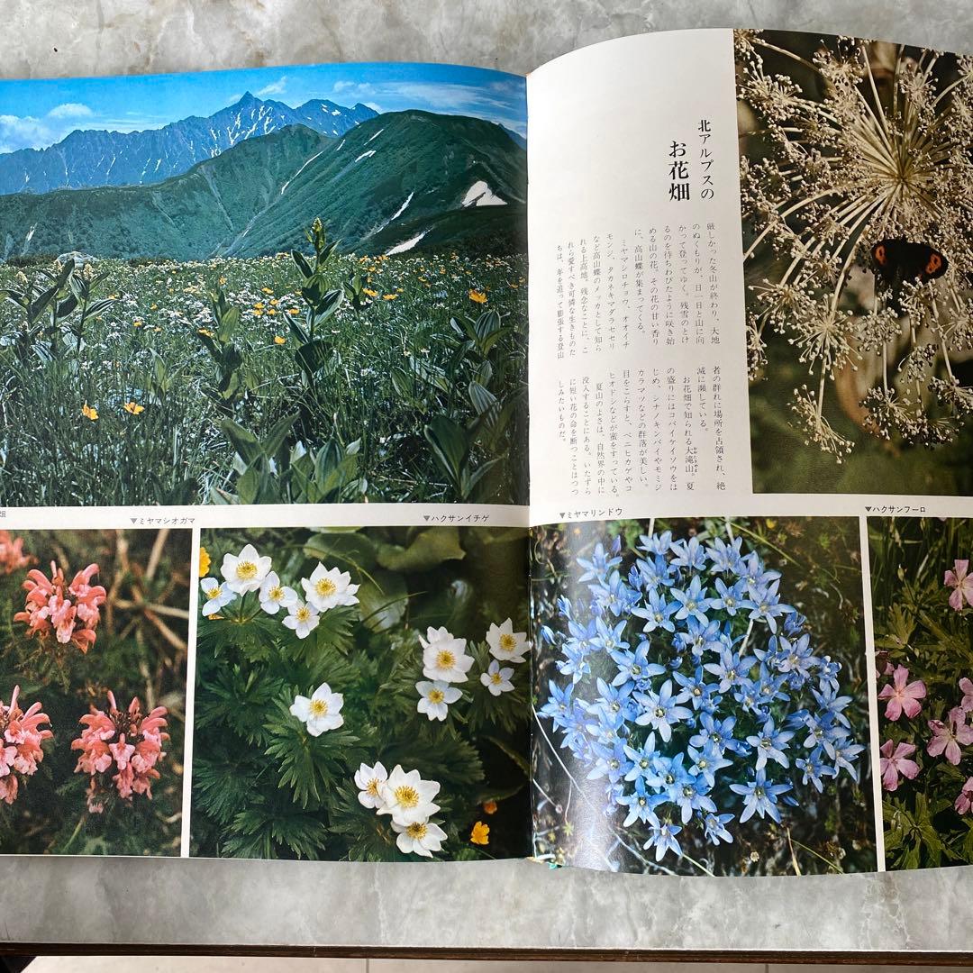 世界文化社 ワイドカラー日本 - メルカリ