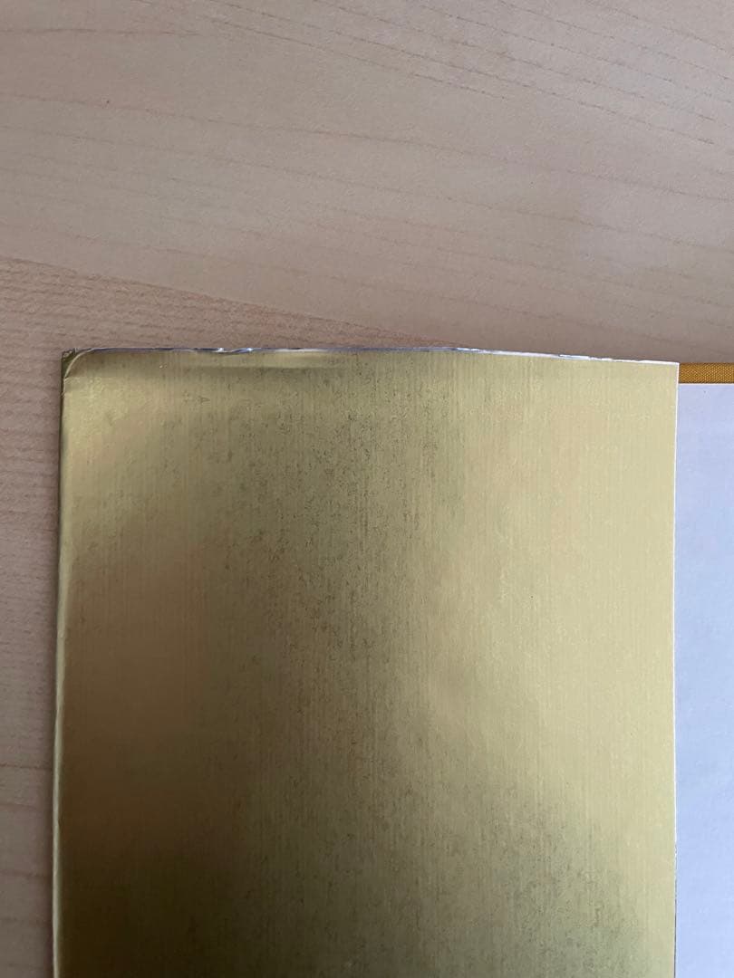 nude of J. 五味彬 トニ・メネグッツォ　サイン付き