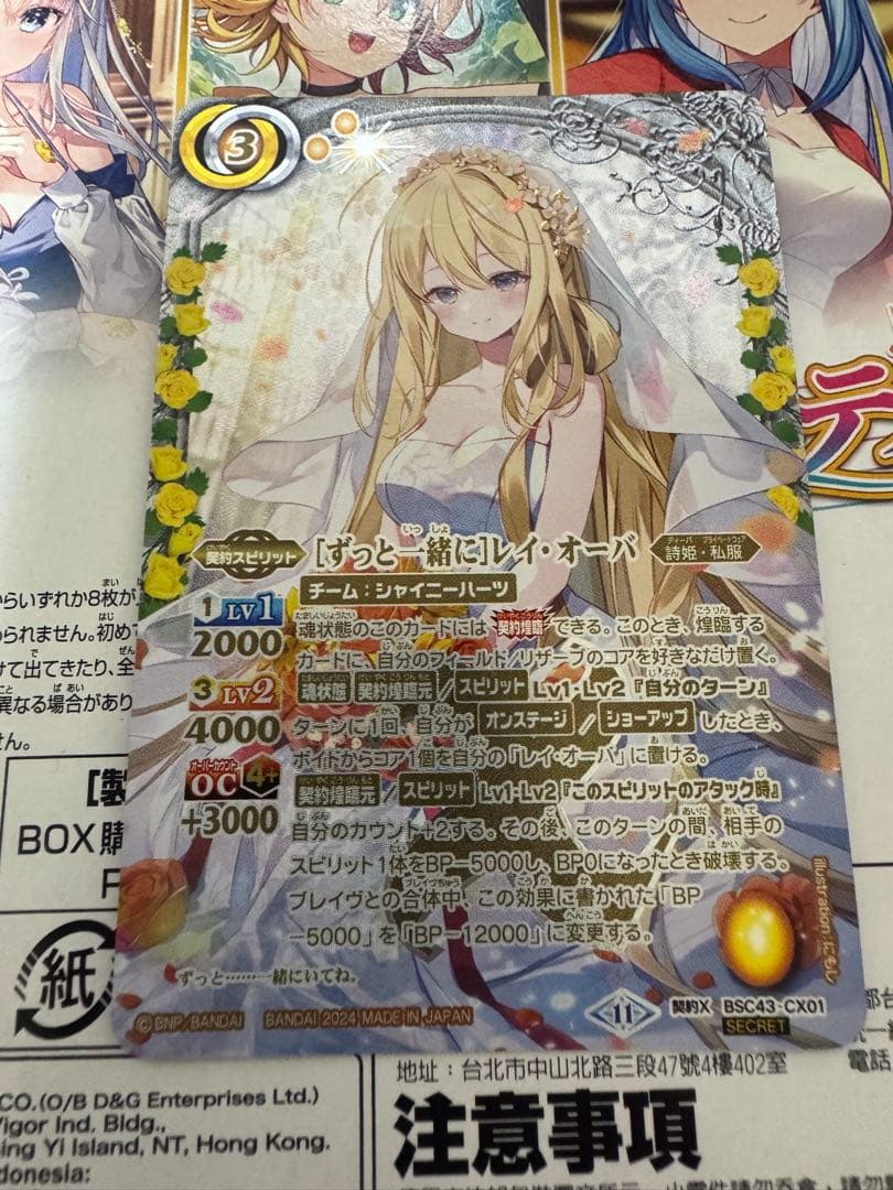 ずっと一緒に レイ・オーバ Secret ホビーステーションシングル通販店 / ［ずっと一緒に］レイ・オーバ