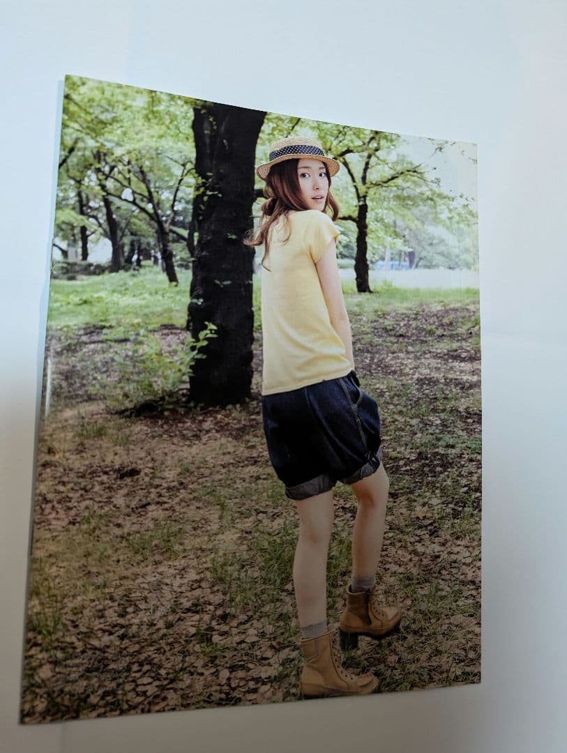 プレミアム「新垣結衣」ブック smart9月号付録 - メルカリ