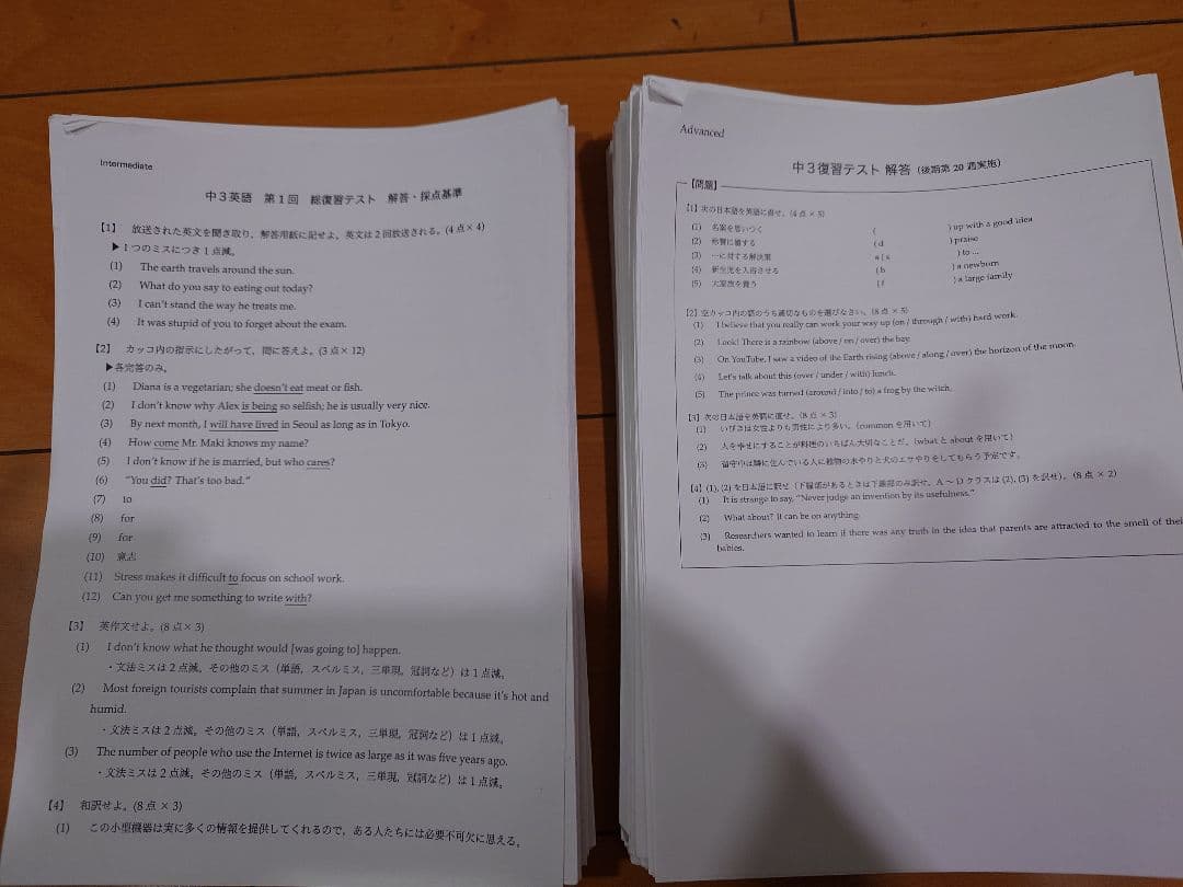 鉄緑会 中3数学 プリント類（総復習テスト付） 鉄緑会 中