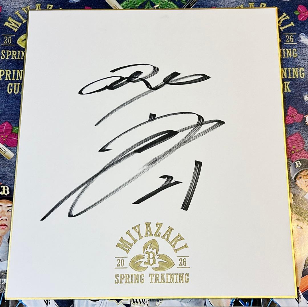 山崎 颯一郎 オリックスバファローズ 直筆サイン色紙 春季キャンプ