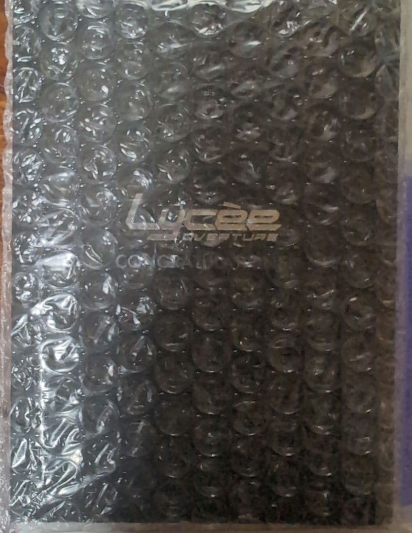 Lycee リセ 素晴らしき日々 水上由岐 直筆 サイン