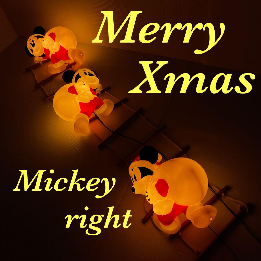 クリスマス ミッキー ディズニー はしご サンタ イルミネーション