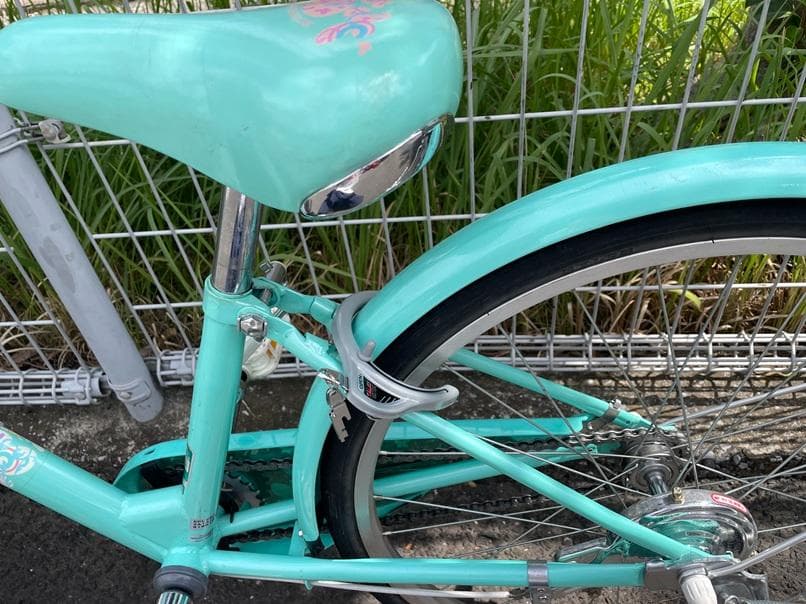 ブリヂストンECOPALエコパル22インチ-junior手渡しのみでお願いします