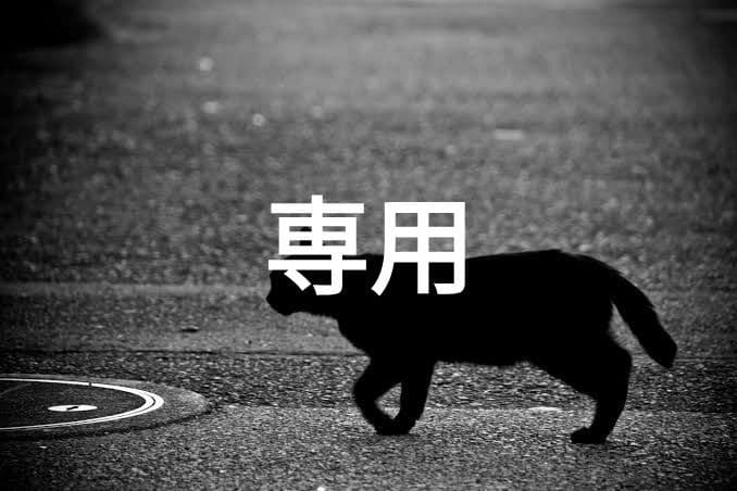 ほたて 冷凍ホタテ【生食用】浜頓別産【5S】サイズ（約60～80粒） | 海鮮直売