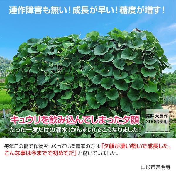 植物活力液 美味大豊作GT-S 20リットル 作物が早く大きく育ち収穫