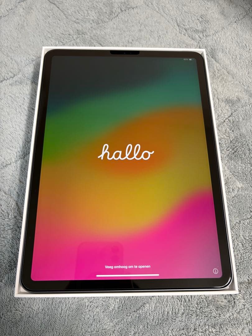 iPad Pro 11インチ 第2世代 +Apple Pencil 第2世代 新型iPadPro(M4) / Air (M2)にはApple Pencil（第2世代）は使えない