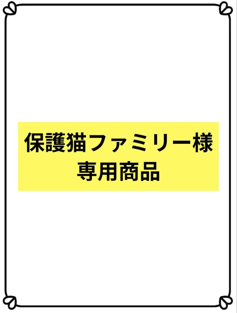 1-保護猫ファミリー商品　花サボテン サボテン 多肉植物 3種類 寄せ植え（緋牡丹）/カラフルPOT】【農場直送