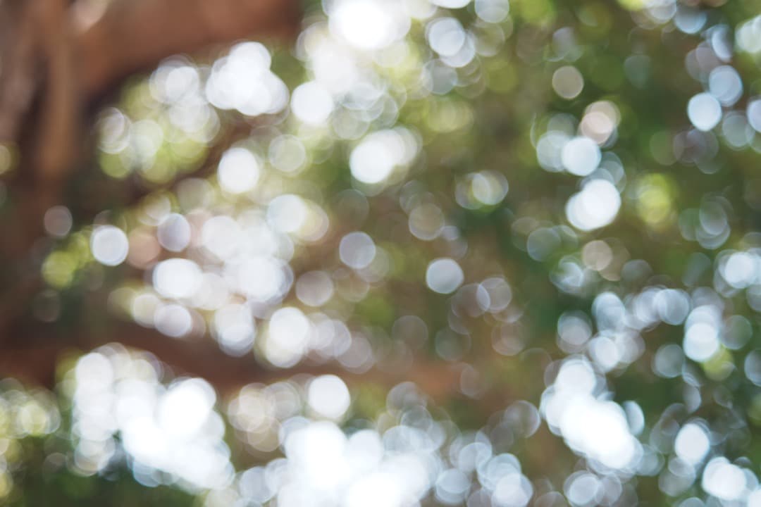 希少一部金属】動作◎ FUJINON 55mm F2.2 817 バブルボケ - メルカリ