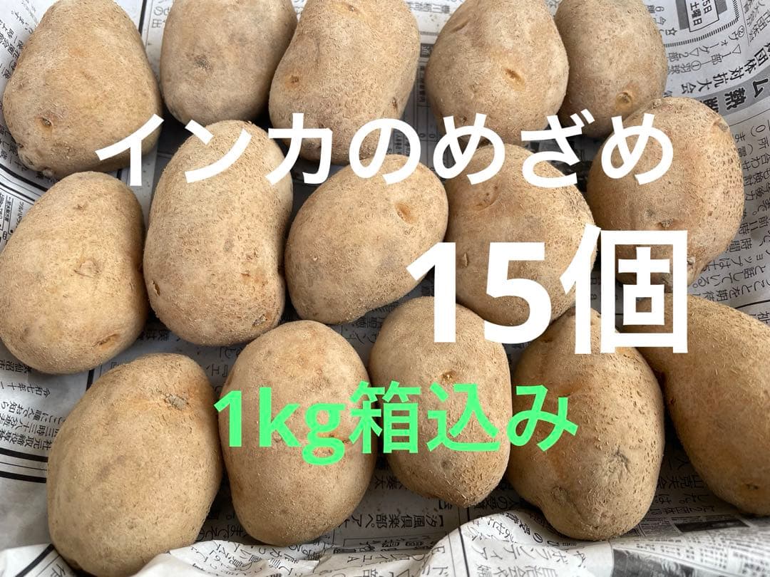 インカのめざめ 種芋 1kg箱込み - メルカリ