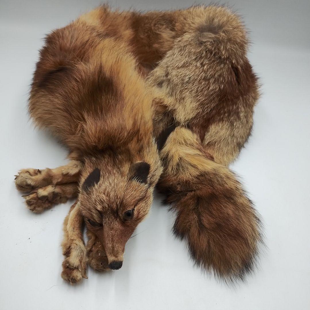 eM156T 希少高級ヴィンテージ キツネの襟巻きリアルファー Fox - メルカリ