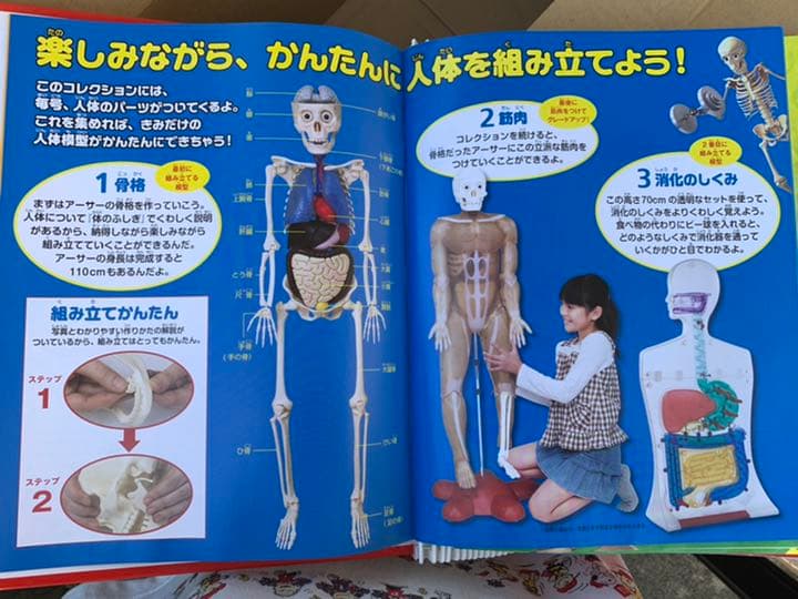 ディアゴスティーノ　体のふしぎ全巻