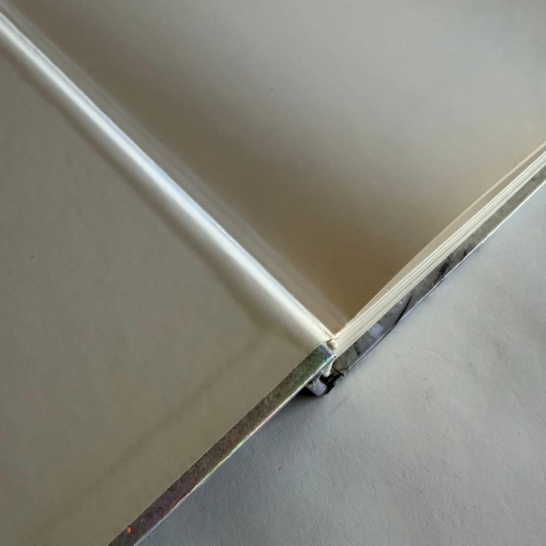 希少】Visionaire 10周年記念本 マルジェラ ギャルソン掲載 写真集