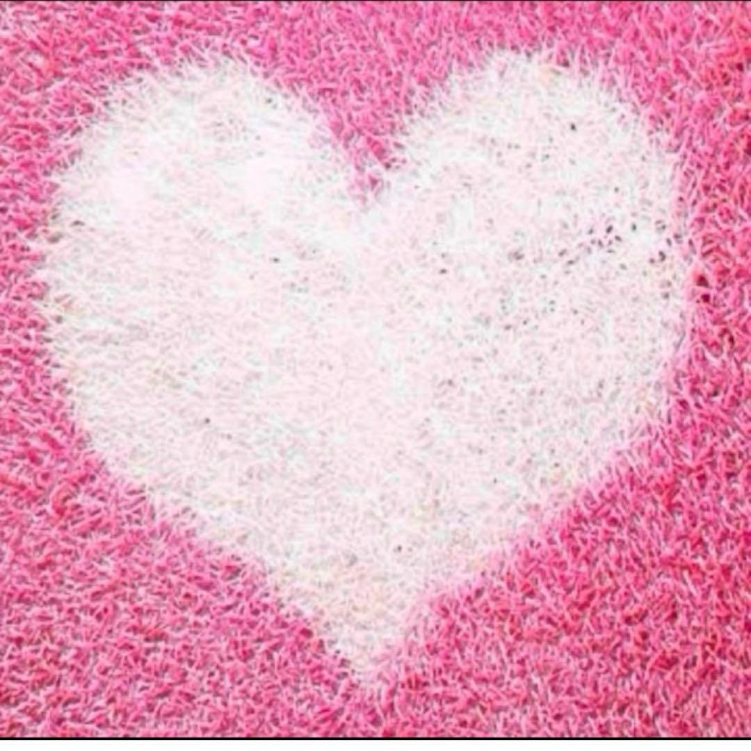 みっきーさま専用 ブースターパック 極点超越編 破天 ワールドオーダー ｜ Z/X