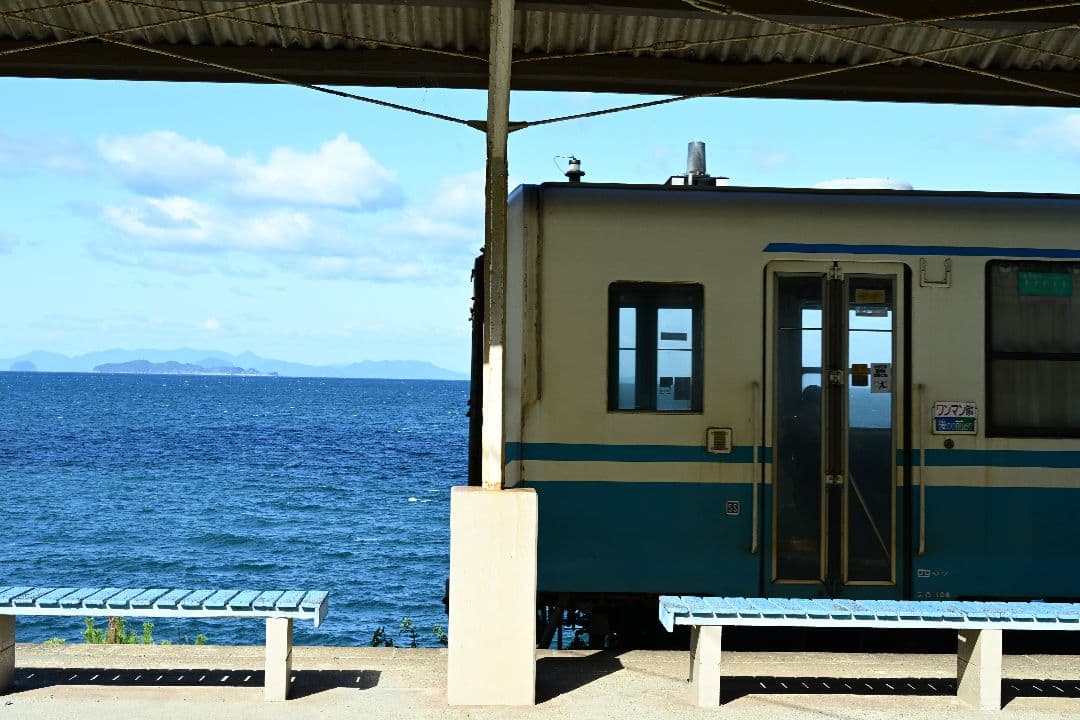 最終値下げ　NIKKOR DX 18-140mm f/3.5-6.3 フード付