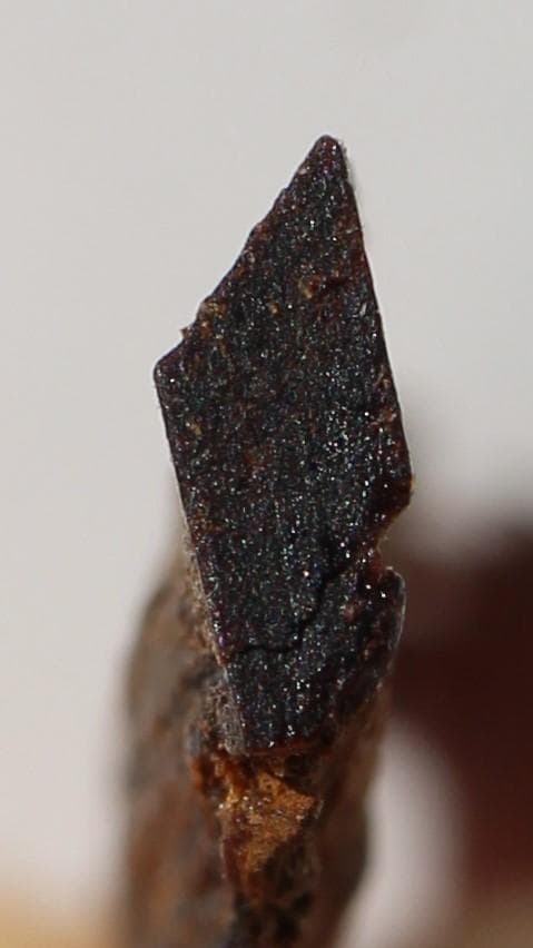 香木 古渡命銘木《初音》小分け約0. 32g 沈香 伽羅 奇南 奇楠 お香 香道