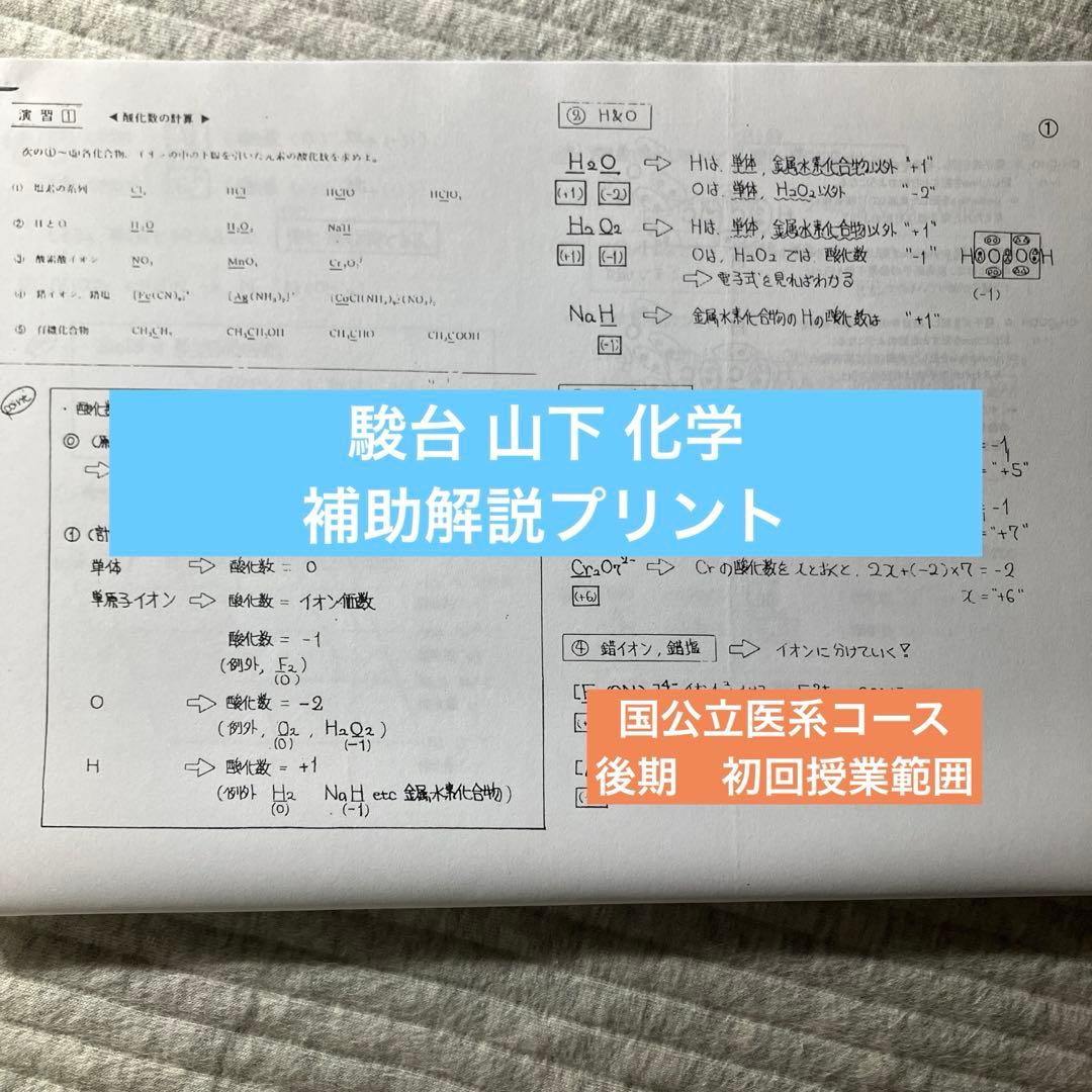 山下 解説プリント】駿台 化学 山下 補助プリント - メルカリ