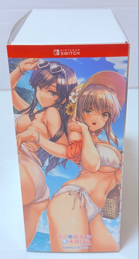 美品 Switch ボクと彼女たちの実習日誌 コンプリートBOX 特典未開封