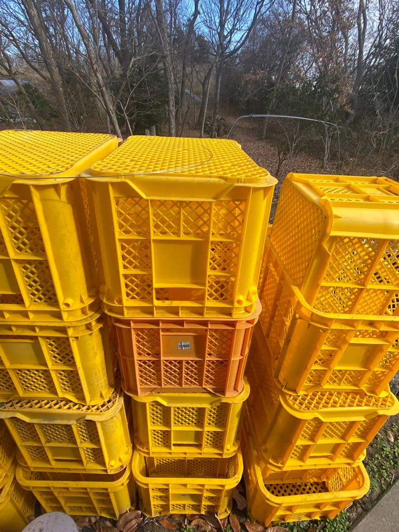 コンテナ 100ケース コンテナケース NEU-ノイ-(ソリッドボックス)