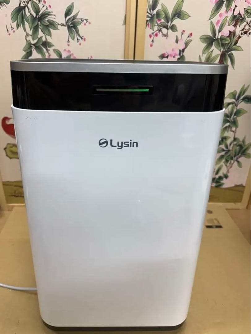 Lysin コンプレッサー式除湿機 22L LS-QJ01A 2023年製 除湿機 コンプレッサー 式 大容量 パワフル 衣類乾燥 静音 省エネ