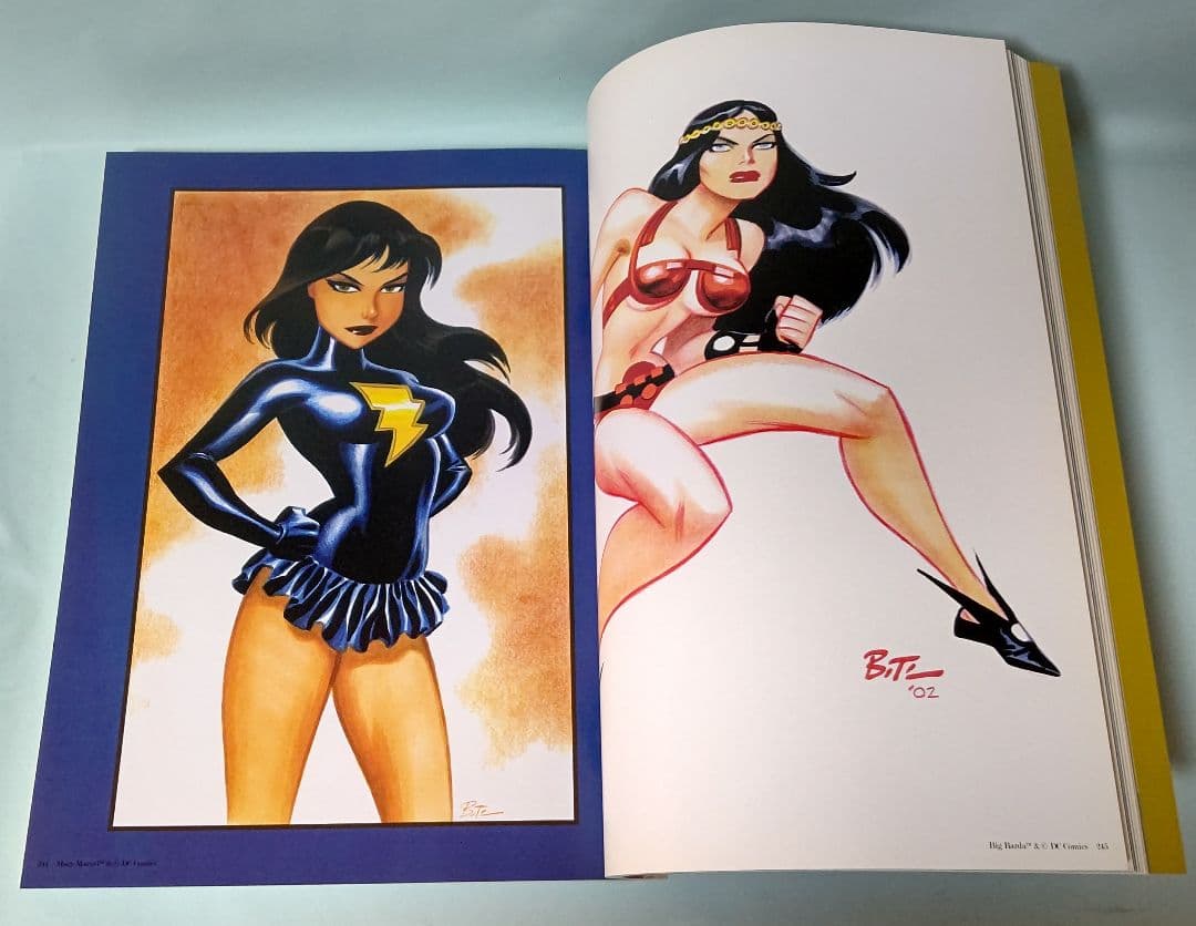 ブルース・ティム 画集 Naughty And Niece 初版本