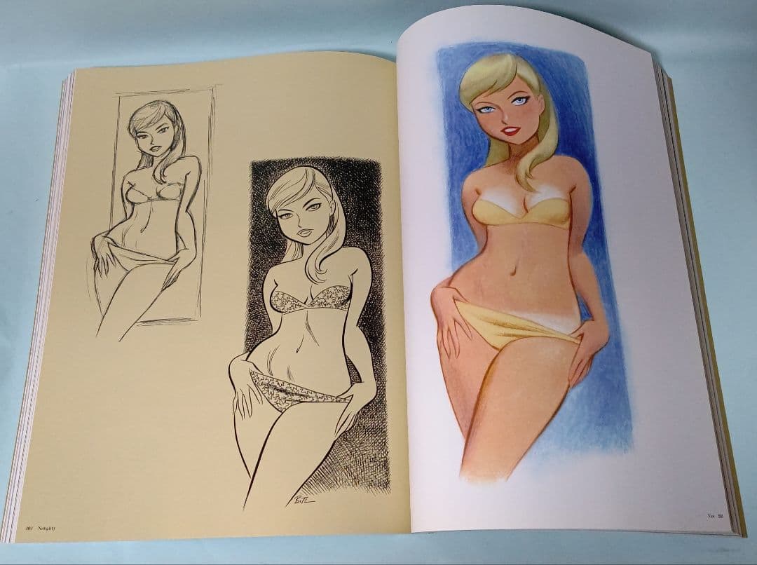 ブルース・ティム 画集 Naughty And Niece 初版本