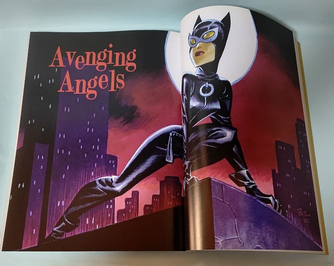 ブルース・ティム 画集 Naughty And Niece 初版本