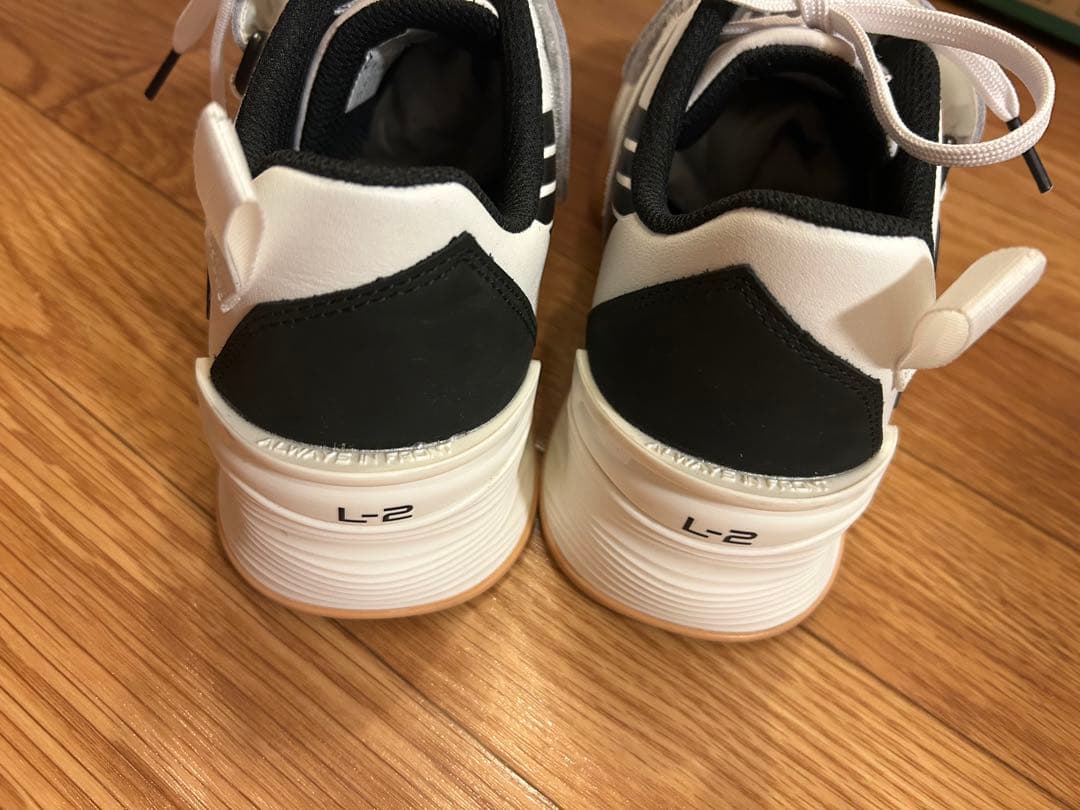 【美品】TYR L-2リフター　25.1cm