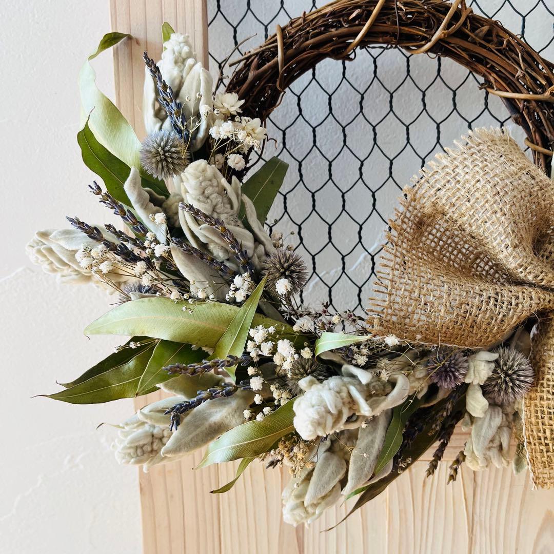 レモンユーカリとラムズイヤーのナチュラルリース ＊ ミモザのおまけ