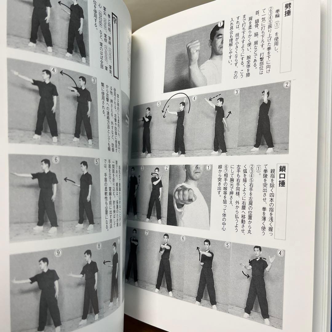 螳螂拳大要 : 陰陽兼備の総合拳法 - メルカリ