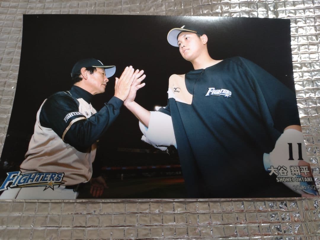 大谷翔平 2013 ハイライトフォト No.372 日本ハム 球団公式写真