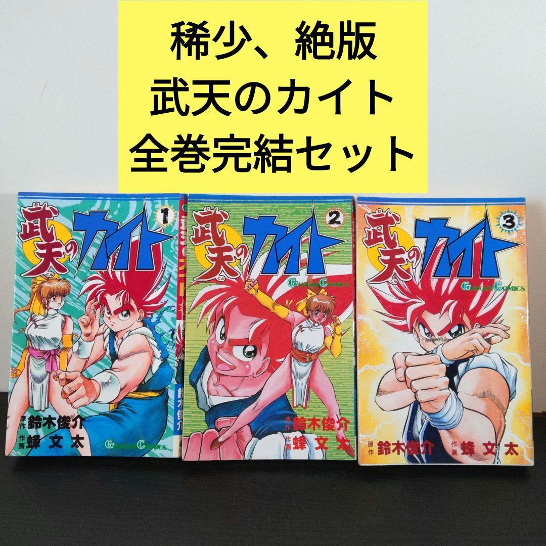 稀少 武天のカイト 全3巻完結セット ガンガンコミックス 蜂 文太