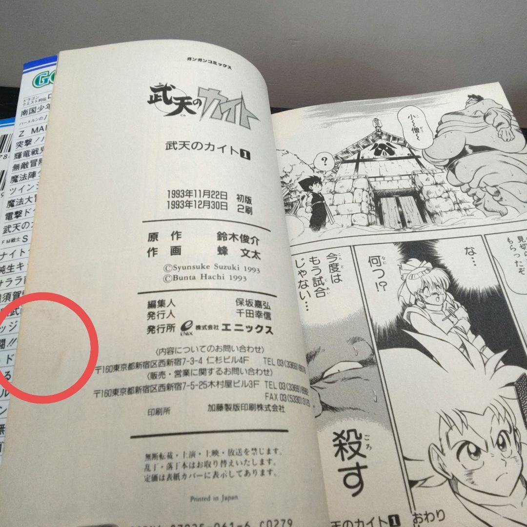 稀少 武天のカイト 全3巻完結セット ガンガンコミックス 蜂 文太