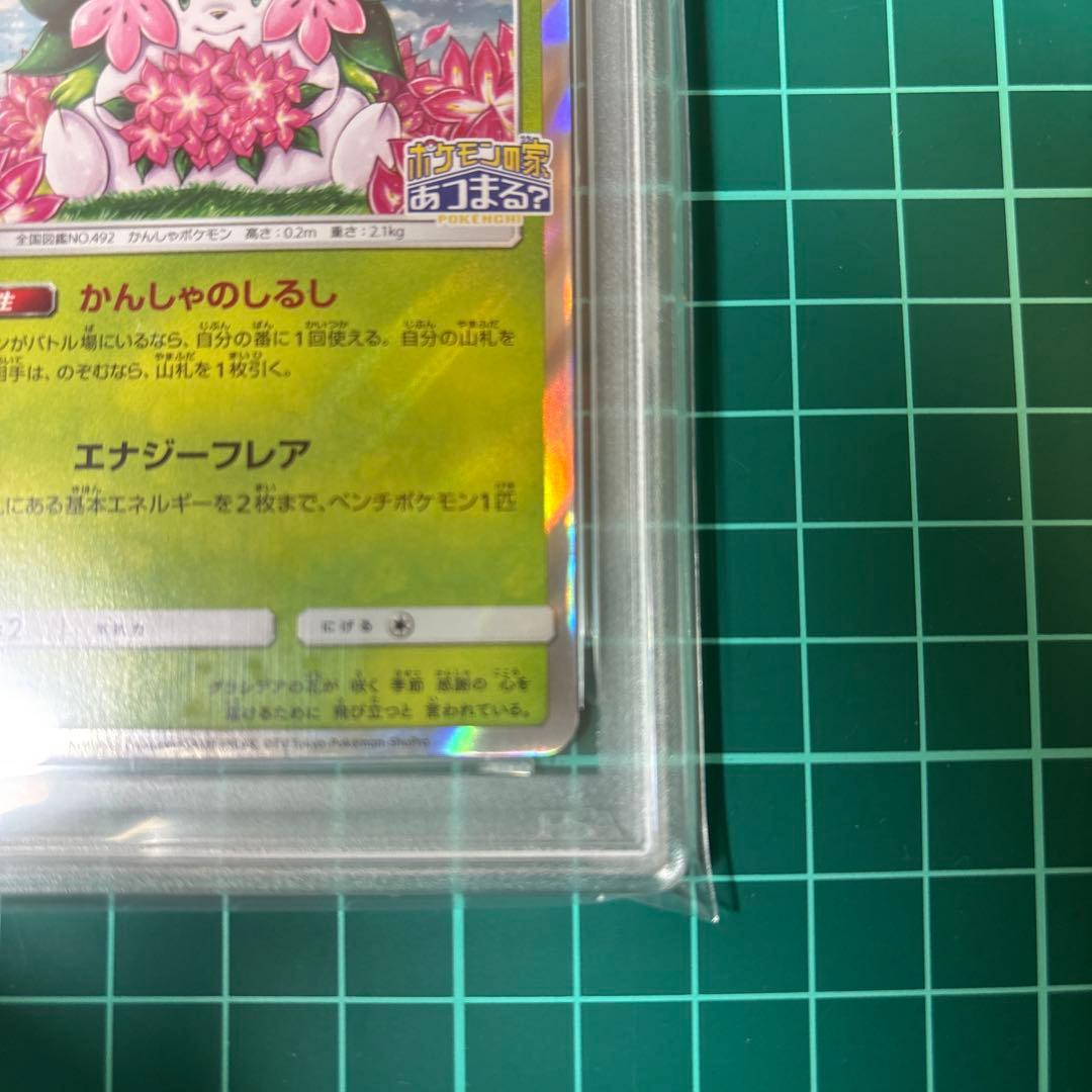 PSA9】シェイミ プロモ しょこたん 225/SM-P ポケモンの家あつまる