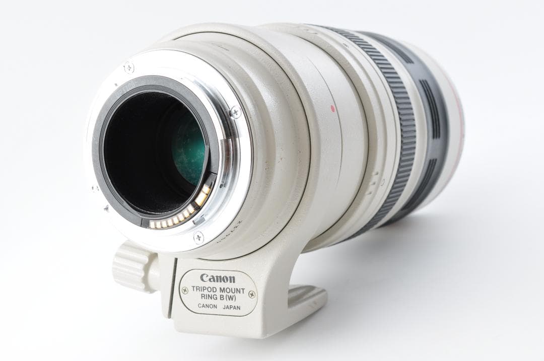 レンズ(ズーム) Canon EF 100-400mm F/4.5-5.6 L IS #1317