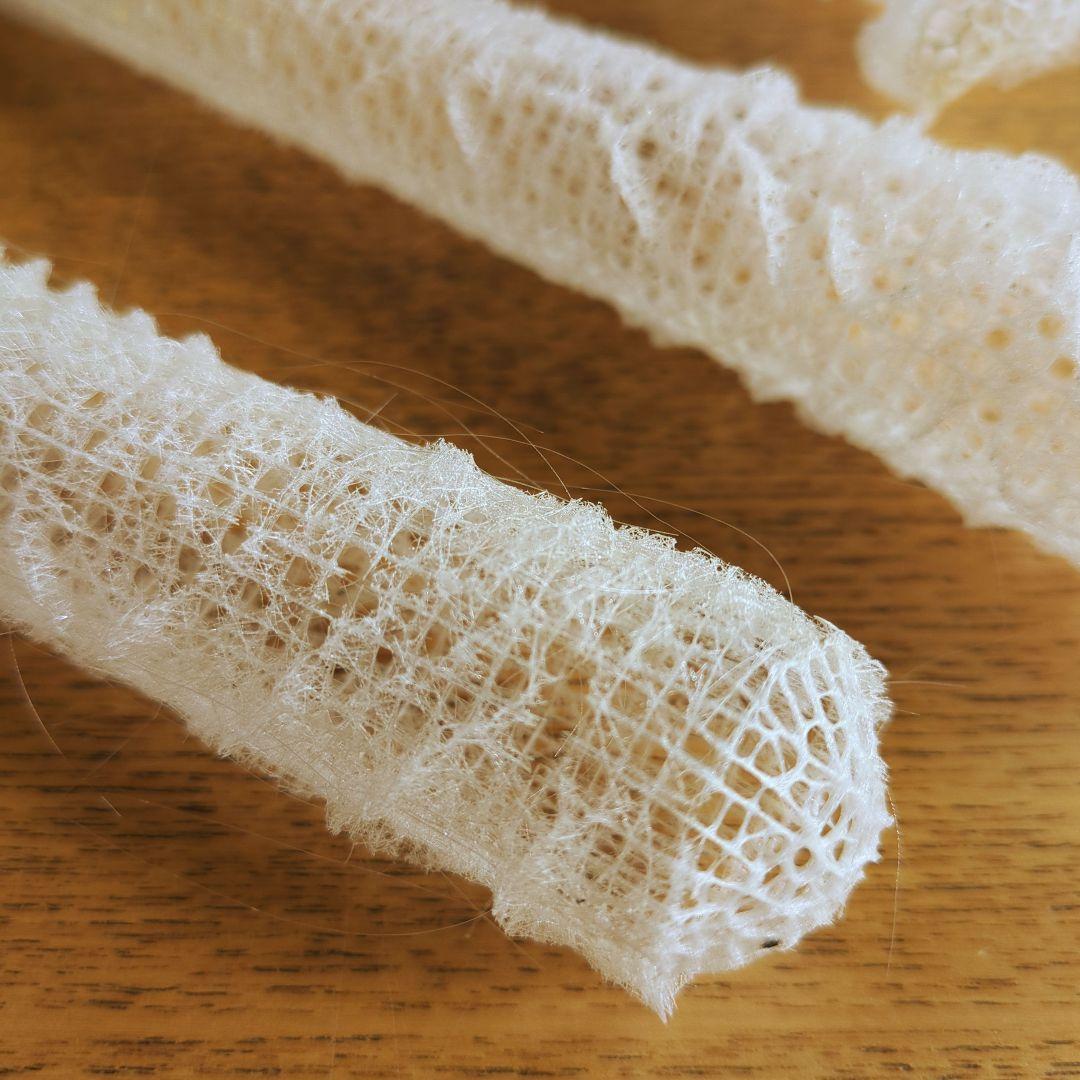 偕老同穴 カイロウドウケツ 標本 3本 - メルカリ