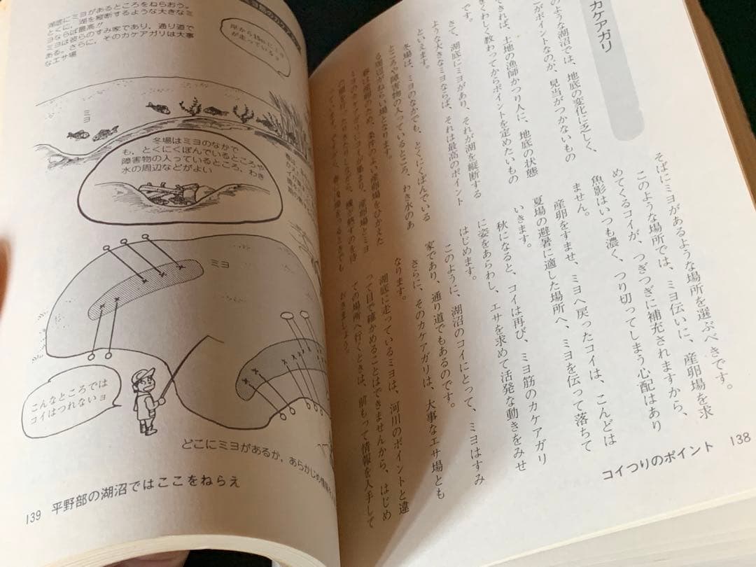 【稀少】イラスト版　コイつり入門　村山幸一著　ナツメ社
